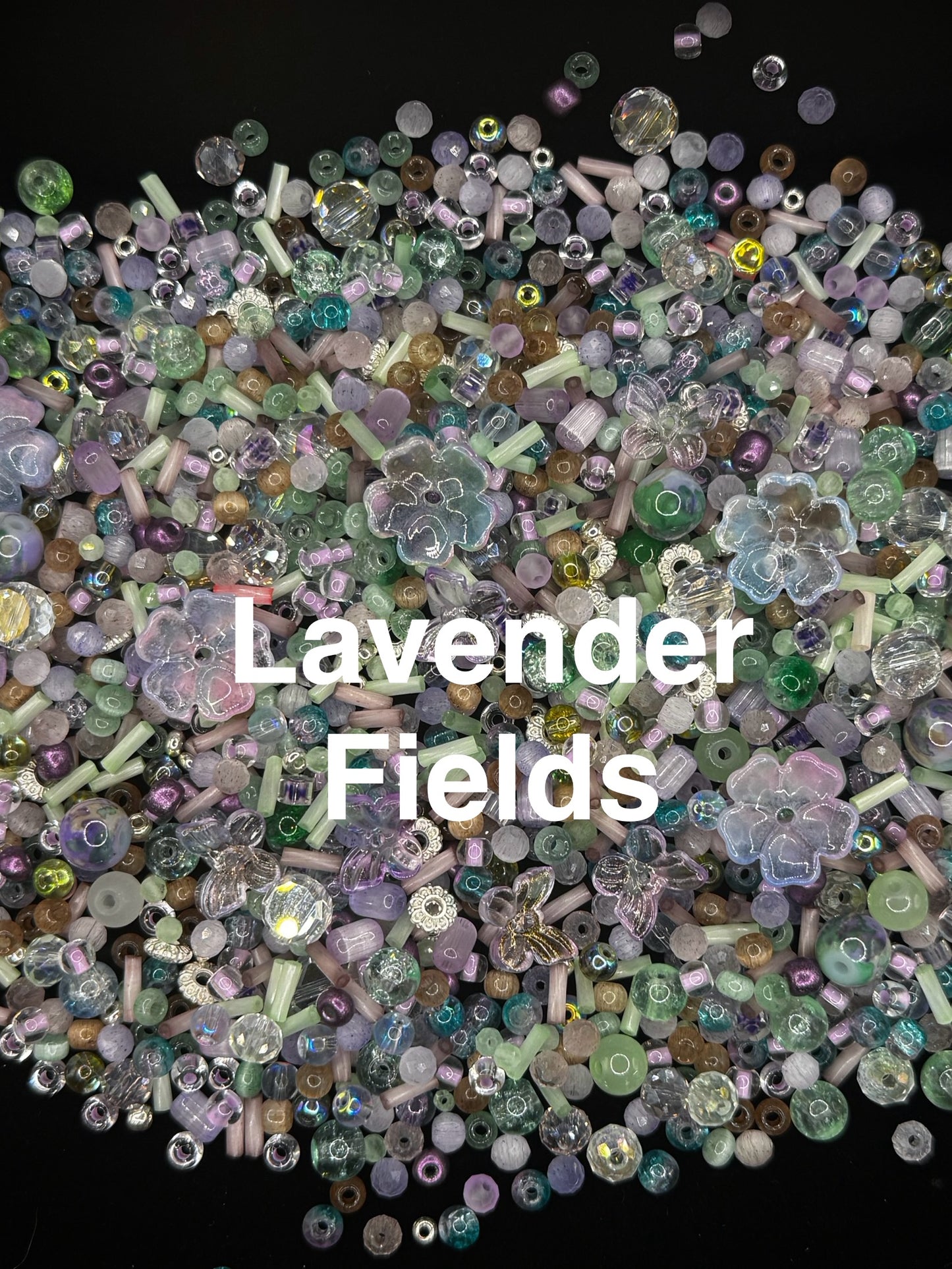 Lavender Fields
